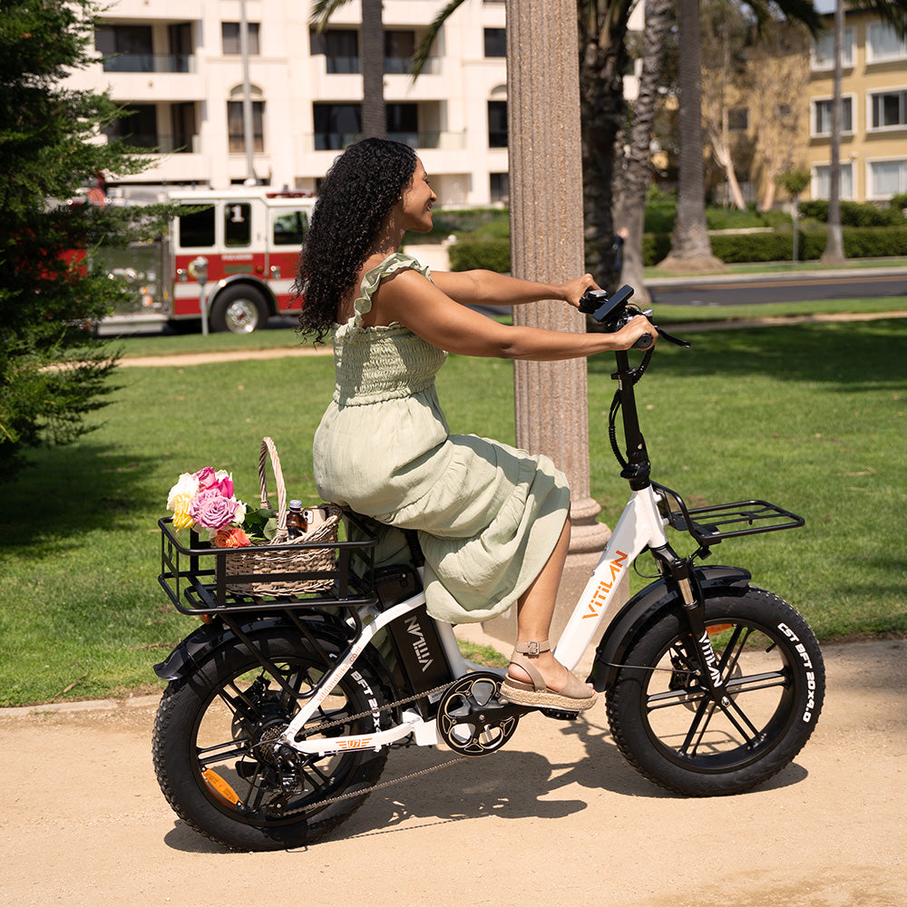 electric bicycle basket E-Bike Rear | Dairyman Universal Bike Basket with a weight capacity of 20 pounds Rear Basket for All Electric